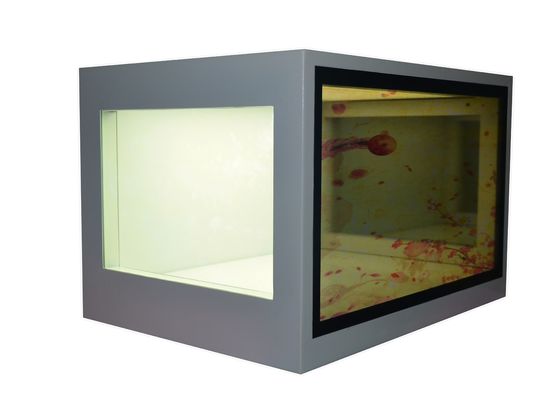 চীন 21.5 ইঞ্চি স্বচ্ছ LCD স্ক্রিন কাস্টম গ্রহণ LCD প্রদর্শন মাধ্যমে দেখুন সরবরাহকারী
